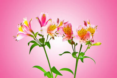 Similar image 1160023