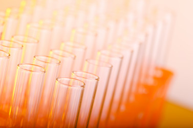 Similar image 1160238