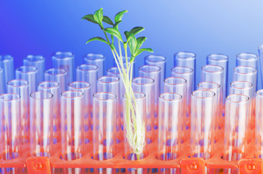 Similar image 1160243