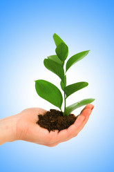 Similar image 1160305