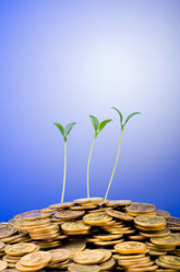 Similar image 1160308