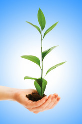 Similar image 1160339