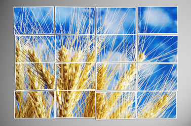 Similar image 1160521