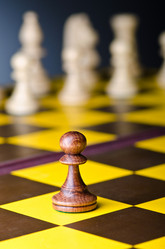 Similar image 1160528