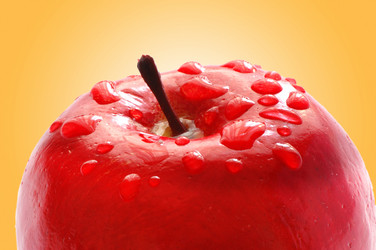 Similar image 1160822