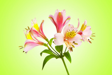 Similar image 1161013