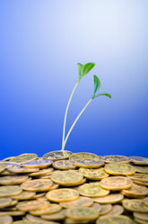 Similar image 1161108