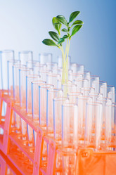 Similar image 1161138