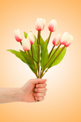 Similar image 1161290