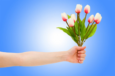 Similar image 1161311