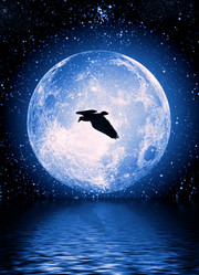 Similar image 1161367