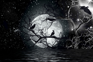 Similar image 1161383