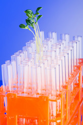 Similar image 1161456