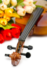 Similar image 1161500