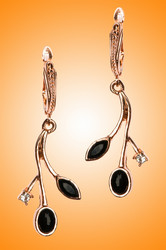 Similar image 1161544