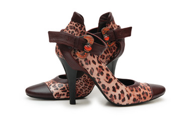 Similar image 1161603