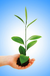 Similar image 1161686