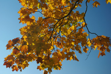 Similar image 1161823