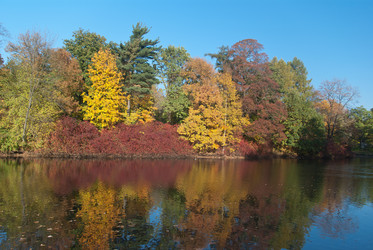 Similar image 1161825