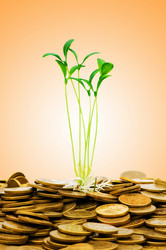 Similar image 1161895