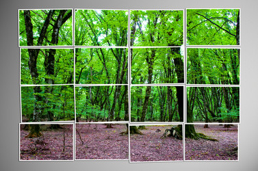 Similar image 1161900