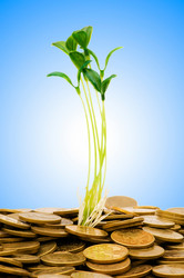 Similar image 1161993