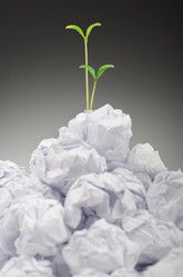 Similar image 1162099