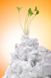 Similar image 1162101