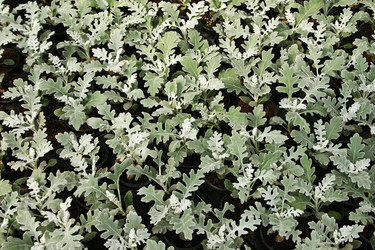 Similar image 1162186