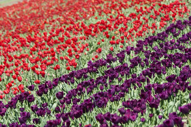 Similar image 1162204