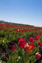 Similar image 1162205