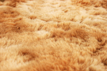 Similar image 1162258