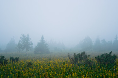 Similar image 1162289