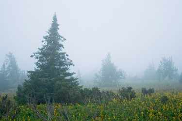 Similar image 1162290