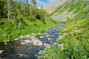 Similar image 1162349