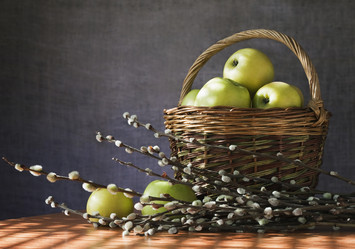 Similar image 1162456