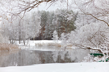 Similar image 1162537