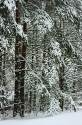 Similar image 1162606