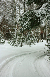 Similar image 1162607