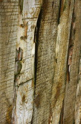 Similar image 1162608