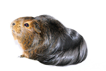 Similar image 1162628