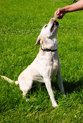 Similar image 1162630