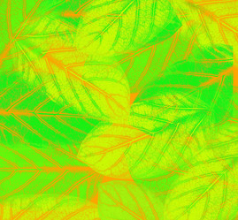 Similar image 1162633