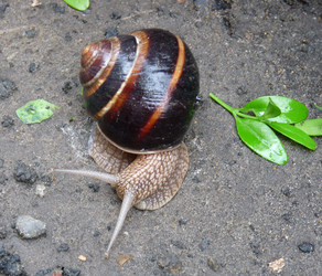 Similar image 1162644