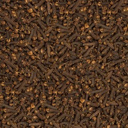 Similar image 1162648