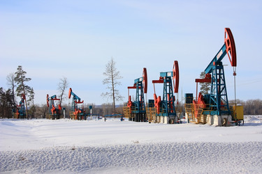 Similar image 1162656