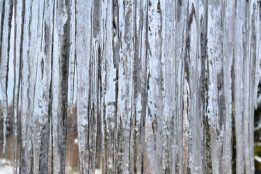 Similar image 1162662