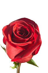 Similar image 1162952