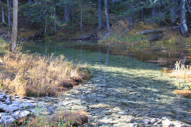 Similar image 1162966