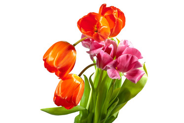 Similar image 1162995